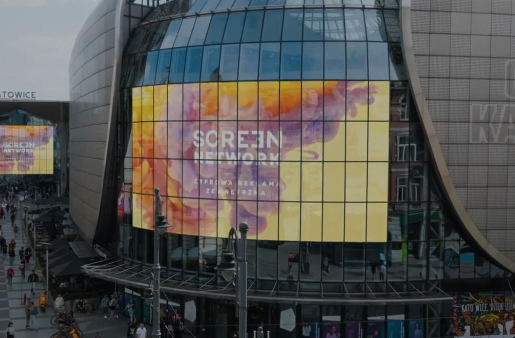 DIGITAL NETWORK – wyniki 1 kwartału 2025 r.