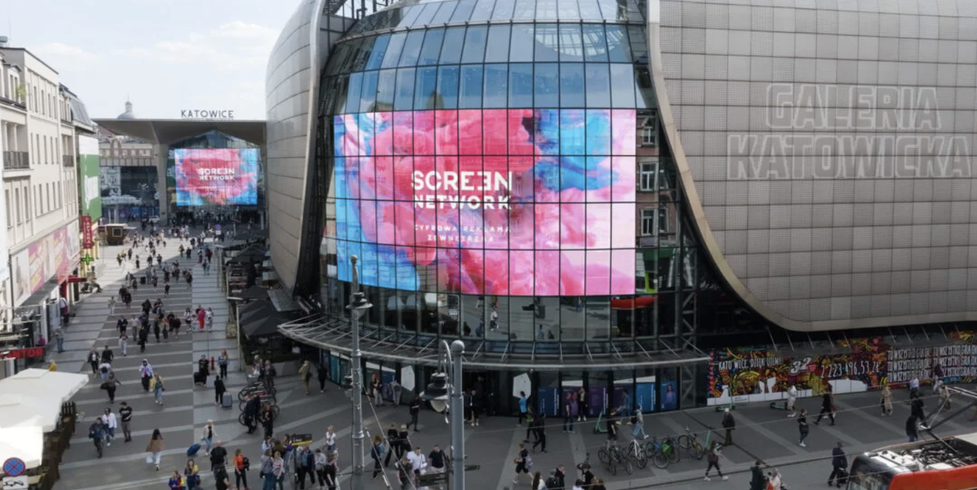 Digital Network SA na ścieżce wzrostu